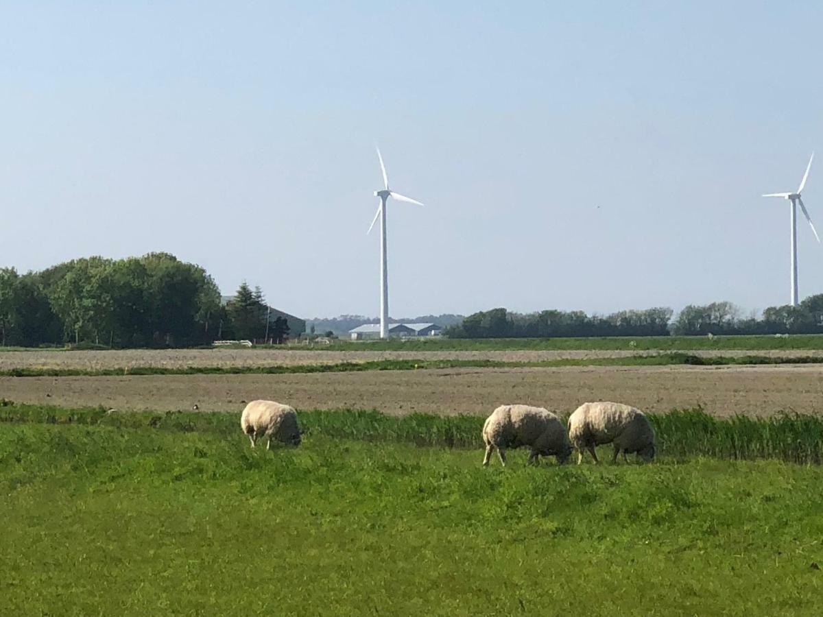 Vogelvrij Villa Burgerbrug Kültér fotó